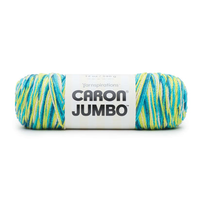 Caron Jumbo Yarn - Discontinued Shades Green Meadows Ombre