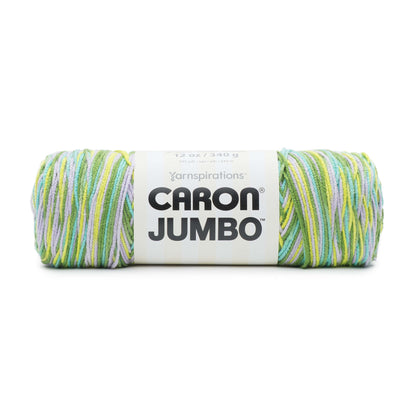 Caron Jumbo Yarn - Discontinued Shades Green Meadows Ombre