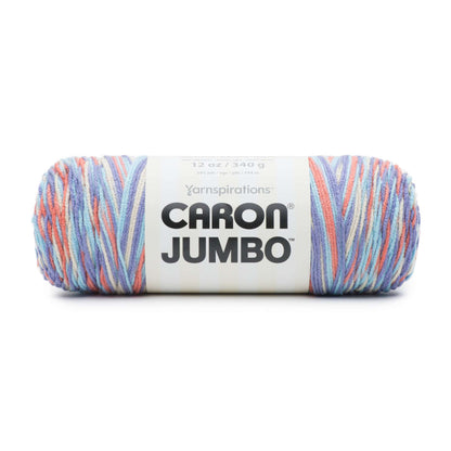 Caron Jumbo Yarn - Discontinued Shades Floral Ombre