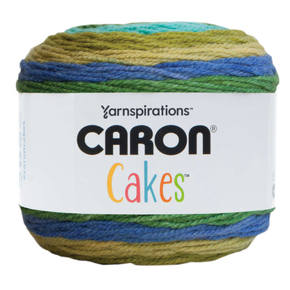 Caron Cakes Yarn - Discontinued Shades Blueberry Kiwi