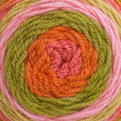 Caron Cakes Yarn - Discontinued Shades Strawberry Kiwi