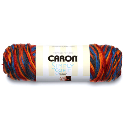 Caron Simply Soft Stripes Yarn - Discontinued Shades Central Park