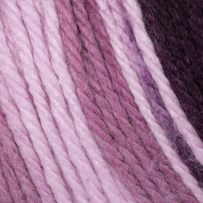 Caron Simply Soft Ombres Yarn Grape Purple Ombre
