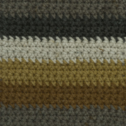 Caron Big Cakes Yarn - Discontinued Shades Tiramisu