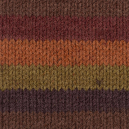 Caron Big Cakes Yarn - Discontinued Shades Cranberry Crisp