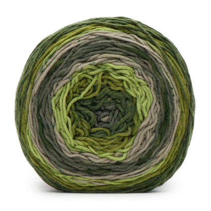 Caron Big Cakes Yarn - Discontinued Shades Mint Fudge