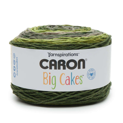 Caron Big Cakes Yarn - Discontinued Shades Mint Fudge