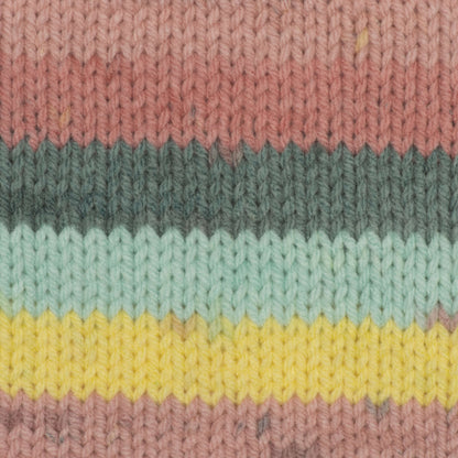 Caron Big Cakes Yarn - Discontinued Shades Summer Berry Tart