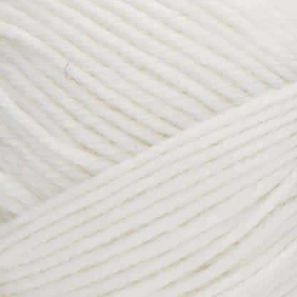 Caron Kindness Yarn - Discontinued Shades Soft White