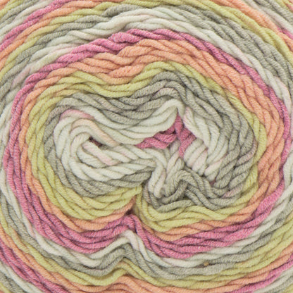 Caron Cotton Cakes Yarn (250g/8.8oz) - Discontinued Shades Country Romance