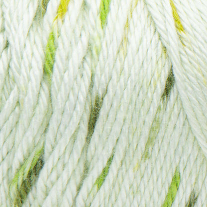 Caron Simply Soft Speckle Yarn Chlorophyll