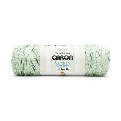 Caron Simply Soft Speckle Yarn White Sage