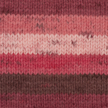 Caron Chunky Cakes Yarn - Discontinued Shades Cherries Jubilee