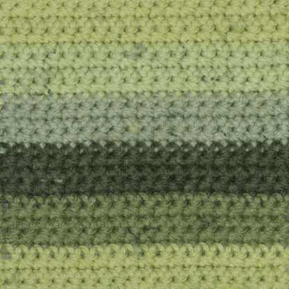 Caron Chunky Cakes Yarn - Discontinued Shades Lime Cream