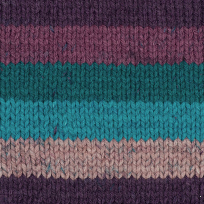 Caron Chunky Cakes Yarn - Discontinued Shades Plum Perfect