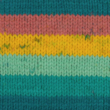 Caron Chunky Cakes Yarn - Discontinued Shades Juicy Chews