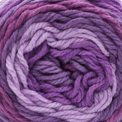 Caron Chunky Cakes Yarn - Discontinued Shades Elderberry Jelly