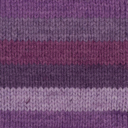 Caron Chunky Cakes Yarn - Discontinued Shades Elderberry Jelly