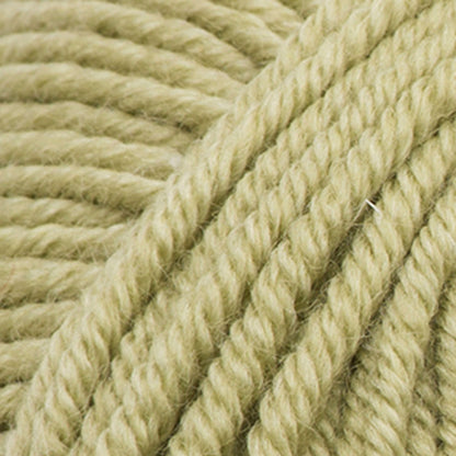 Sugar Bush Bliss Yarn - Discontinued Willow Branch