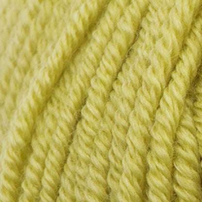 Sugar Bush Bliss Yarn - Discontinued Pear