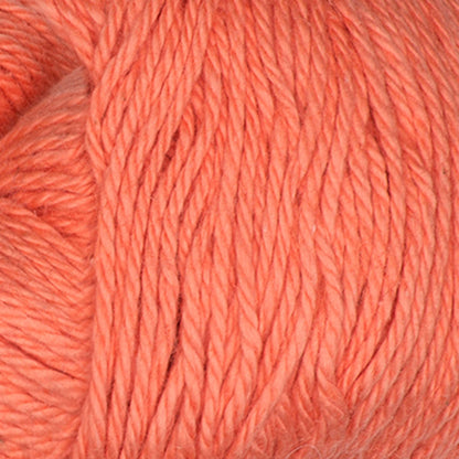Sugar Bush Cabot Yarn - Discontinued Shades Mango