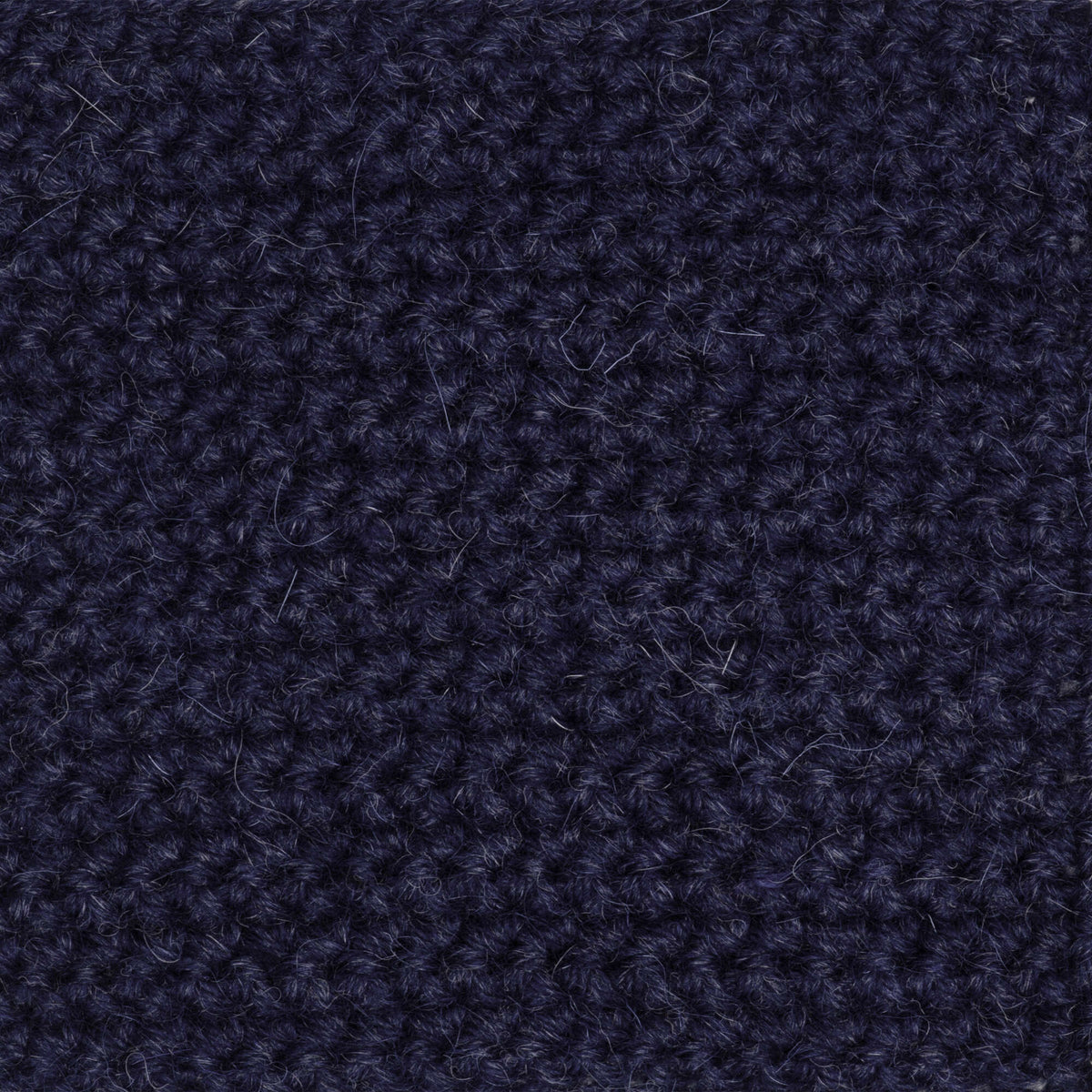 Intense Indigo
