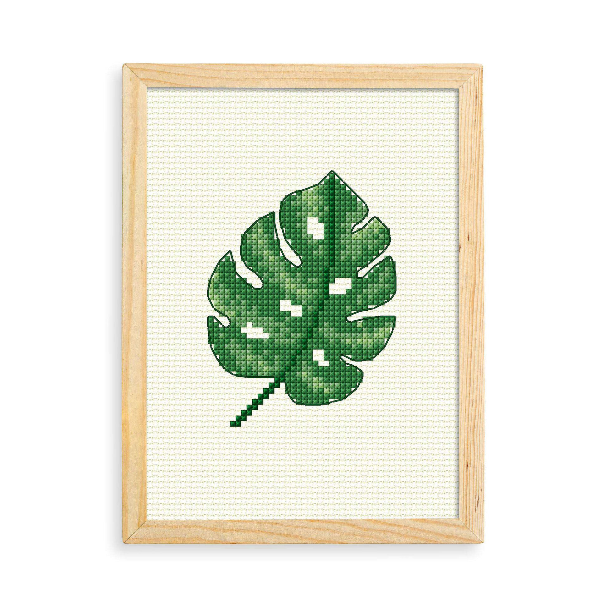 Free Anchor Monstera Leaf Cross Stitch Design Embroidery Pattern