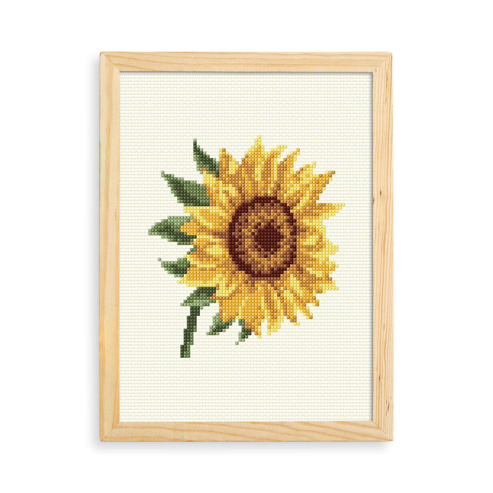 Free Anchor Sunflower Cross Stitch Design Embroidery Pattern
