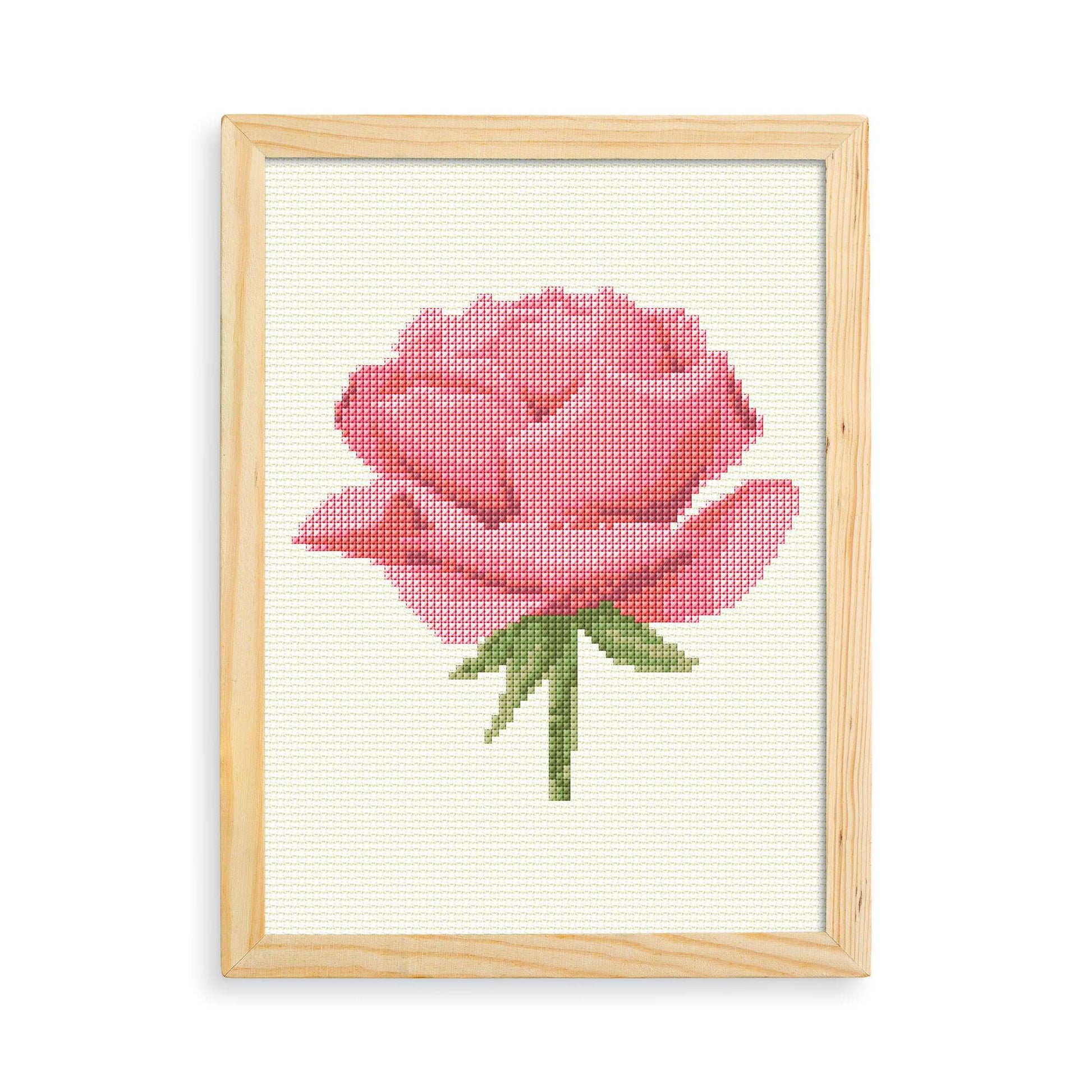 Free Anchor Rose Cross Stitch Design Embroidery Pattern