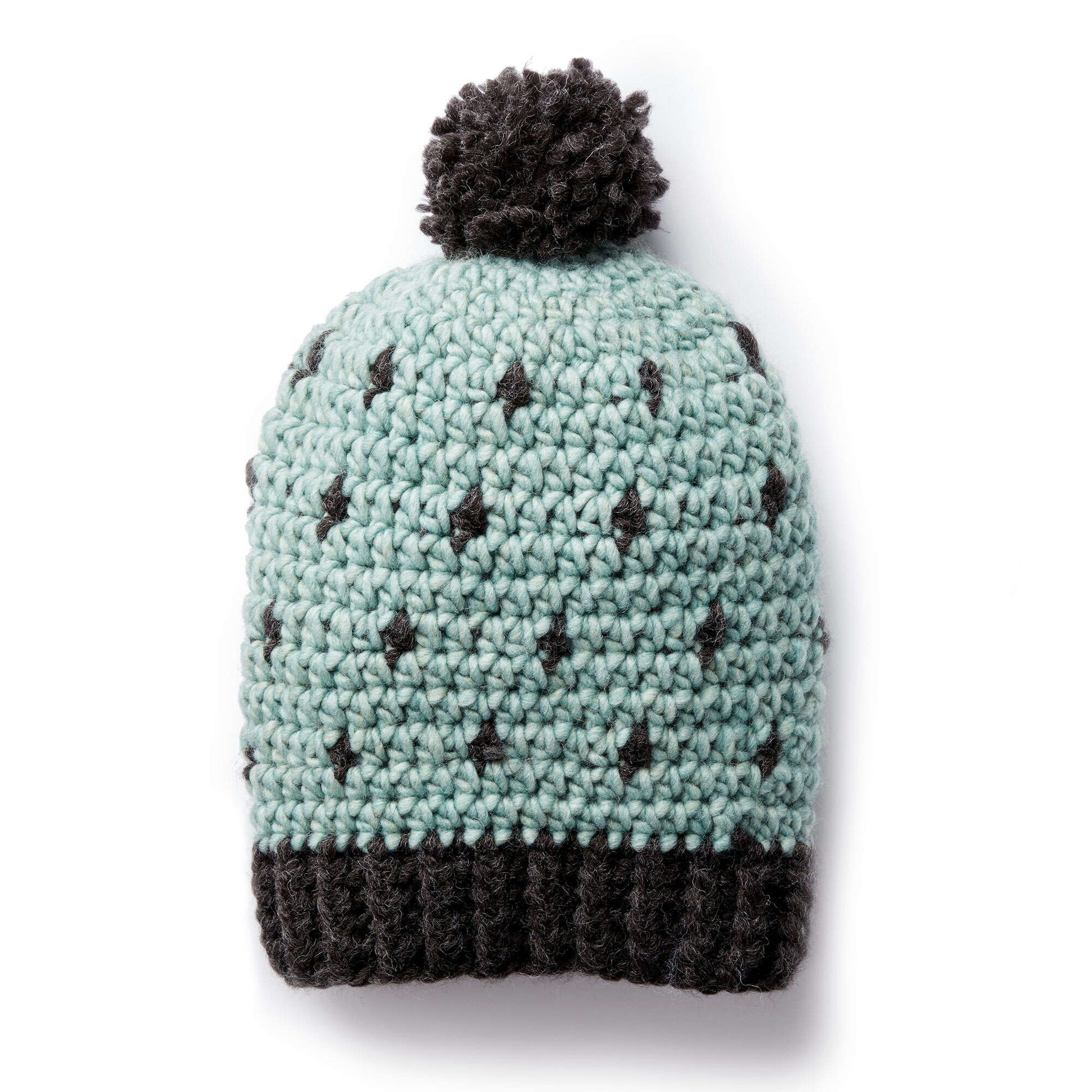 Bernat Cozy Crochet Hat Crochet Hat made in Bernat Roving yarn