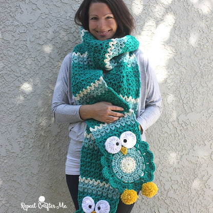 Bernat Owl Crochet Super Scarf Crochet Scarf made in Bernat Softee Chunky yarn