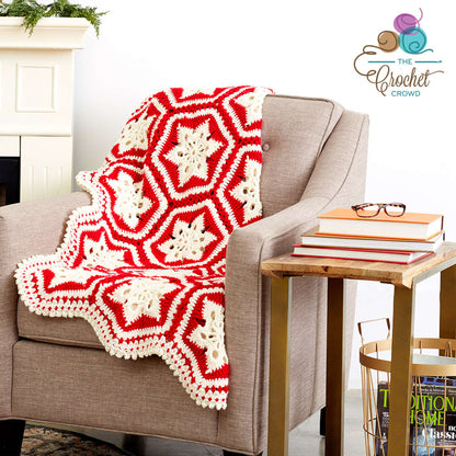 Bernat Scandinavian Snowflake Crochet Afghan Crochet Blanket made in Bernat Super Value yarn