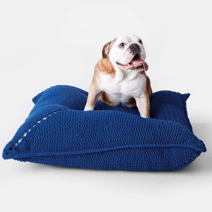 Bernat Easy Crochet Pet Bed Crochet Pet Bed made in Bernat Blanket Pet yarn