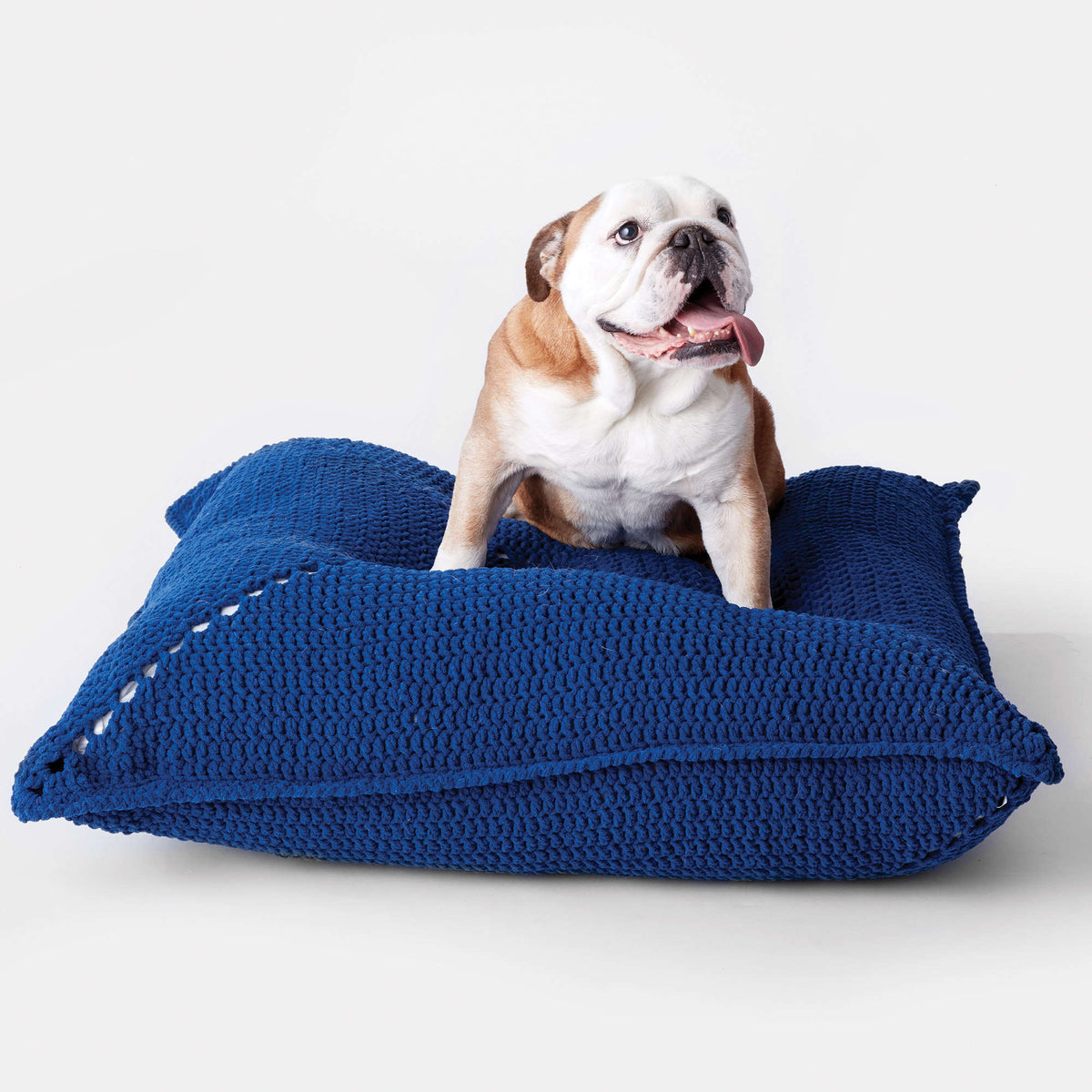 Crochet Pet Bed made in Bernat Blanket Pet yarn