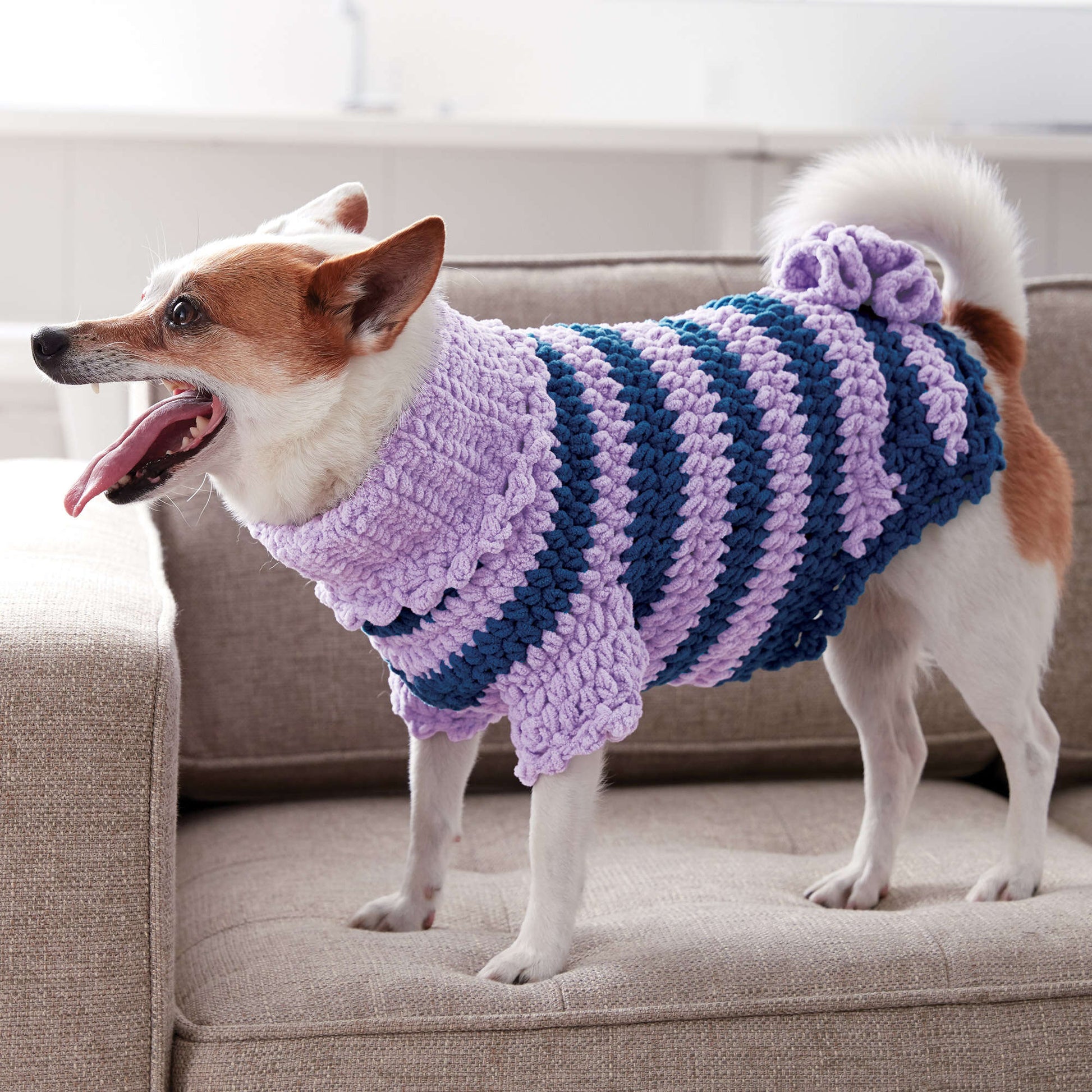 Free Bernat Posh Pooch Crochet Dog Coat Pattern