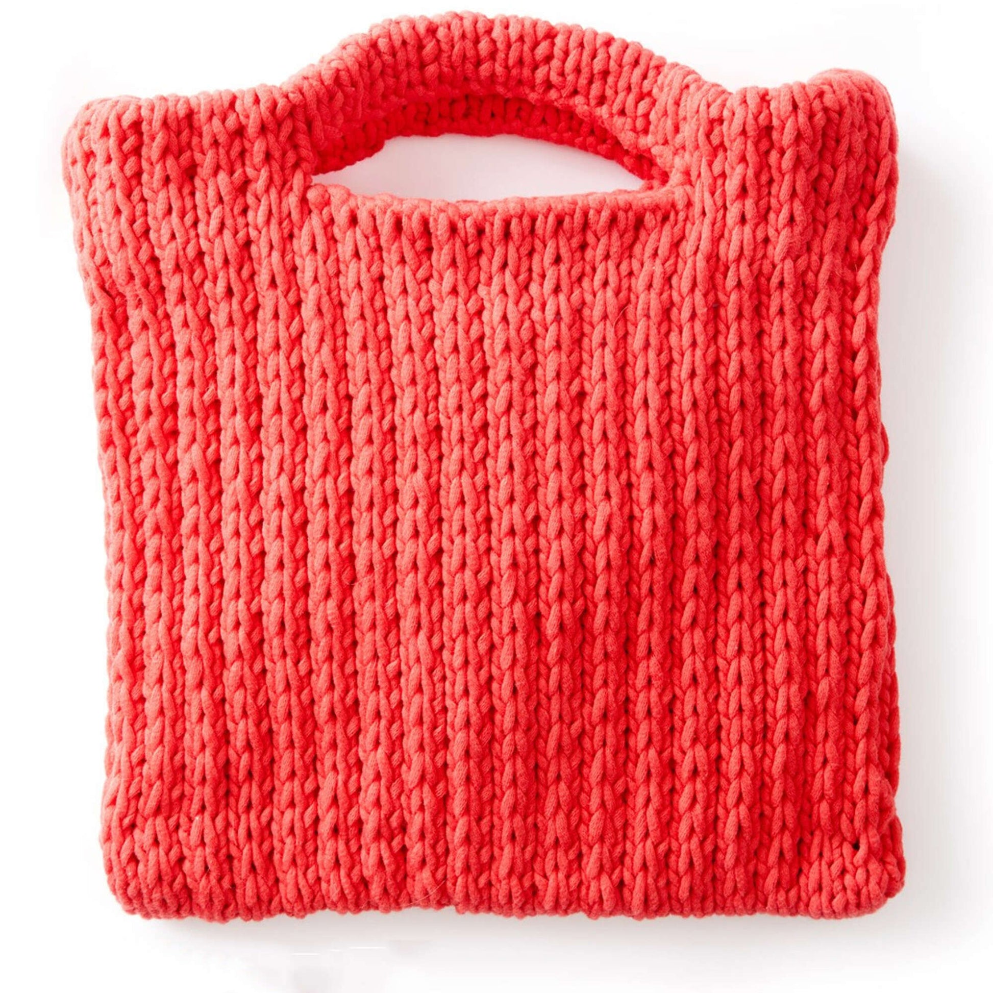 Bernat Knit That's My Bag, Baby