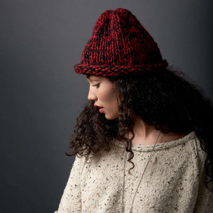 Bernat Knit Raised Beanie Knit Hat made in Bernat Softee Chunky yarn