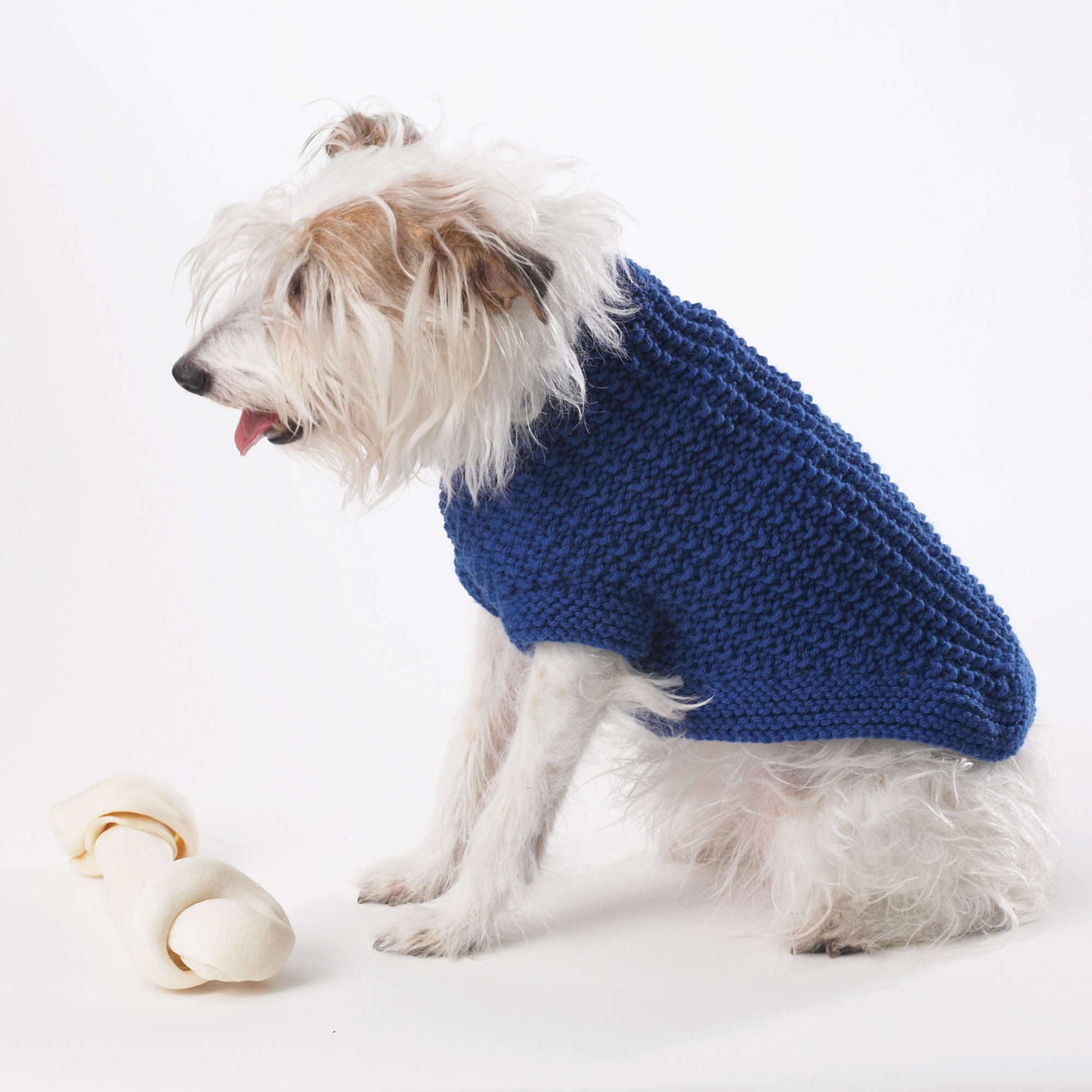 Free Easy Bernat Dog Coat Knitting Pattern | Yarnspirations