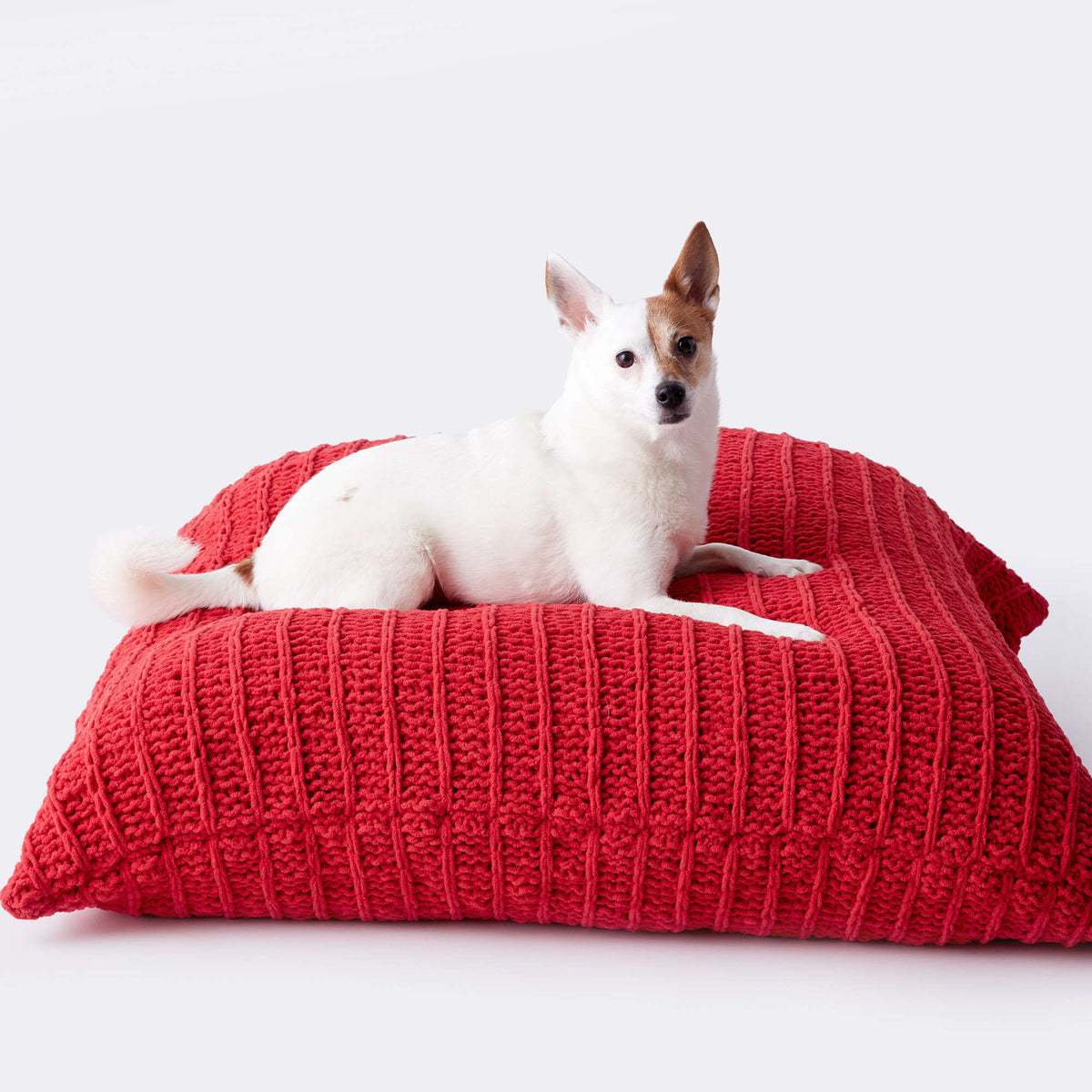 Knit Pet Bed made in Bernat Blanket Pet yarn