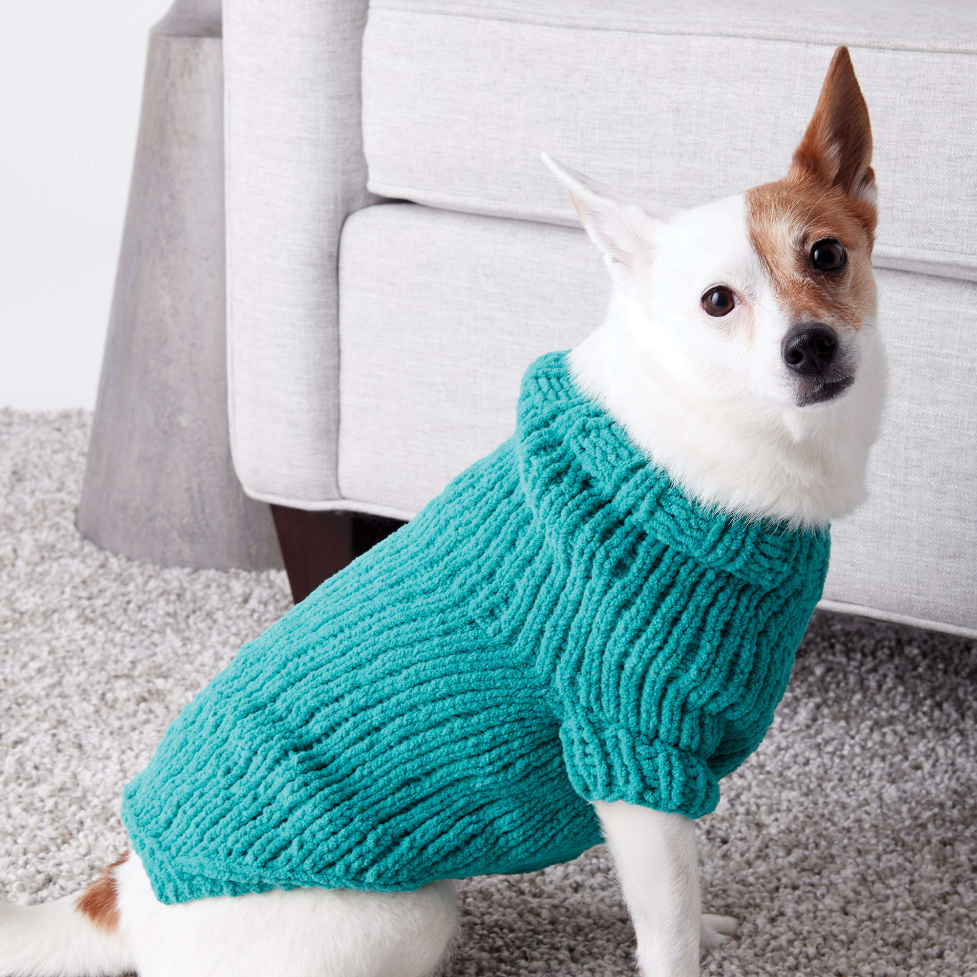 Easy Bernat pet dog coat knitting pattern