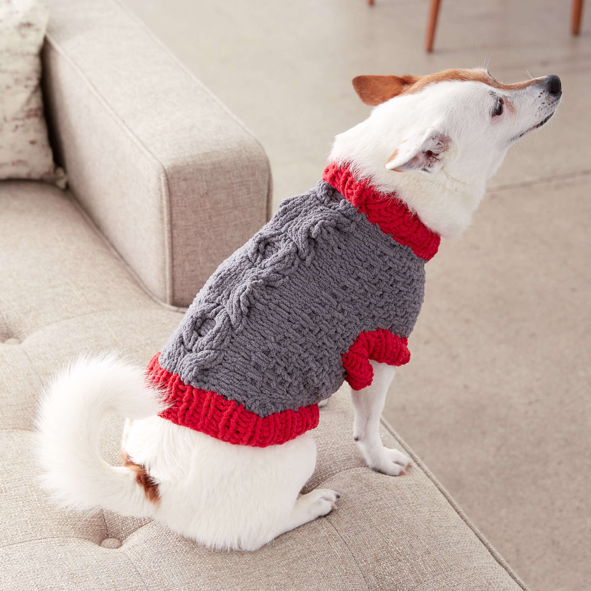 Bernat Bones And Biscuits Knit Dog Coat Yarnspirations