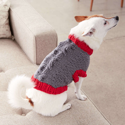Bernat Bones and Biscuits Knit Dog Coat M