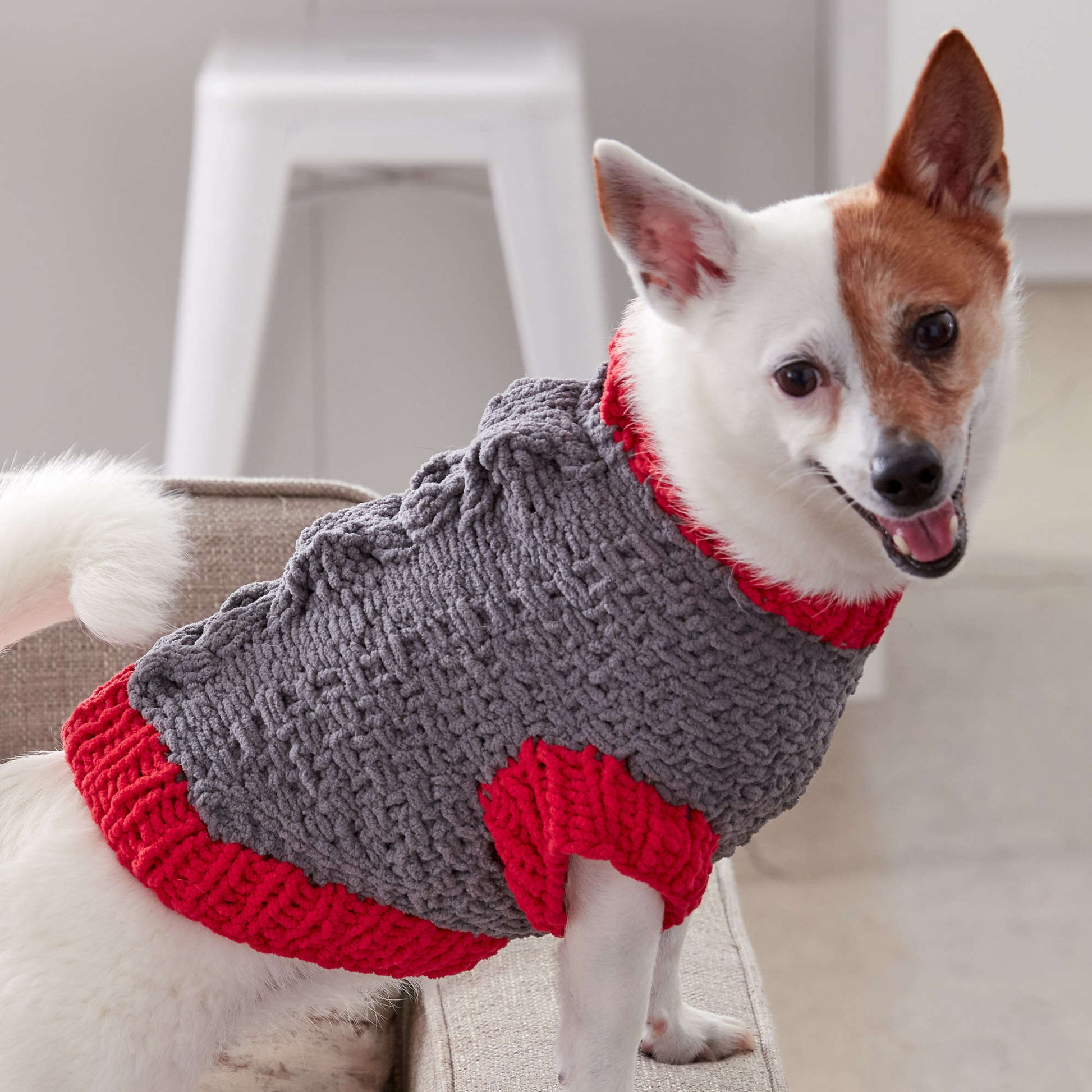 Bernat Bones And Biscuits Knit Dog Coat Yarnspirations