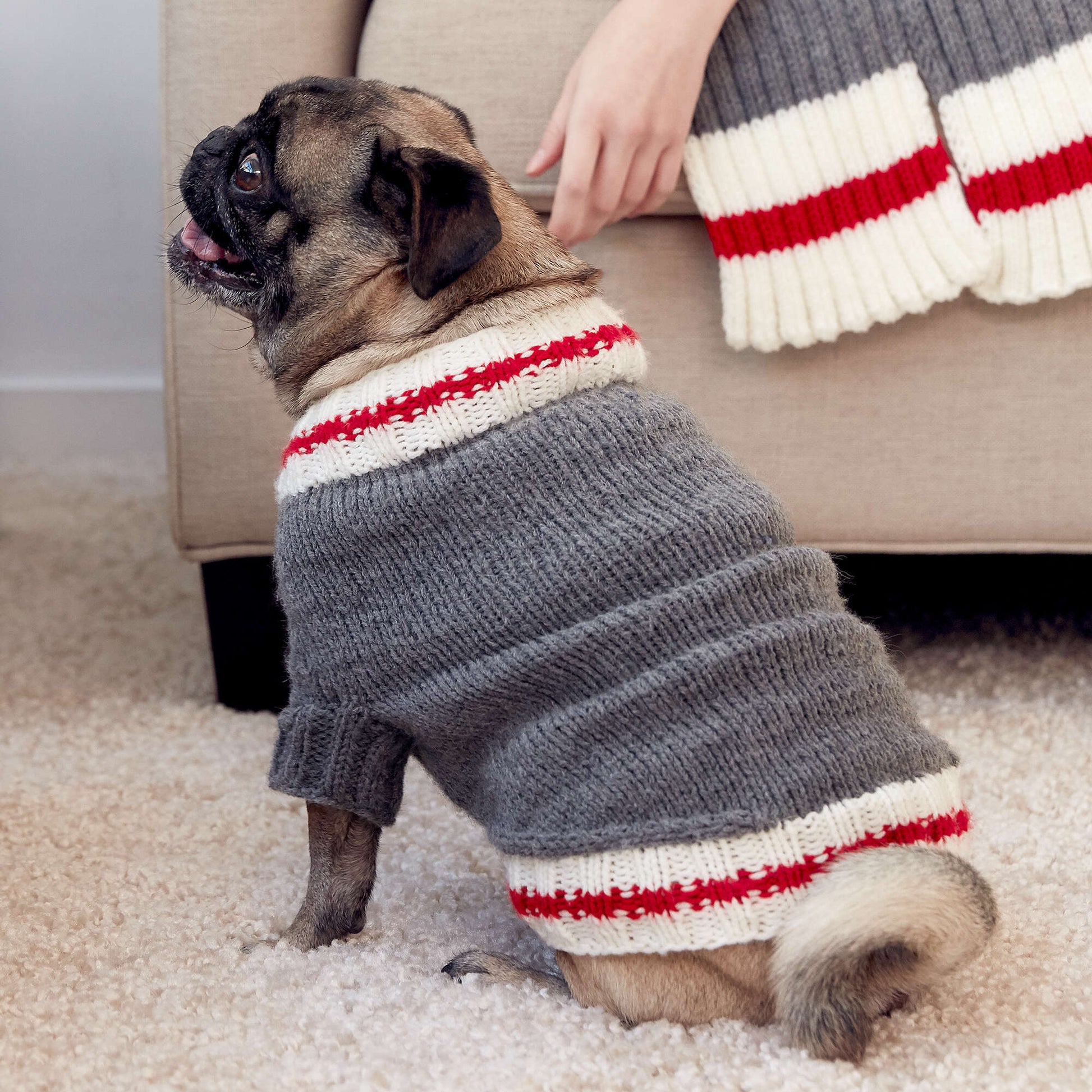 Free Bernat Knit Work Sock Dog Coat Pattern