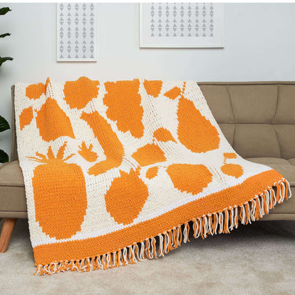 Bernat Craft EZ Graph It Fruits Aplenty Blanket Craft Blanket made in Bernat Alize Blanket EZ Graph-it yarn