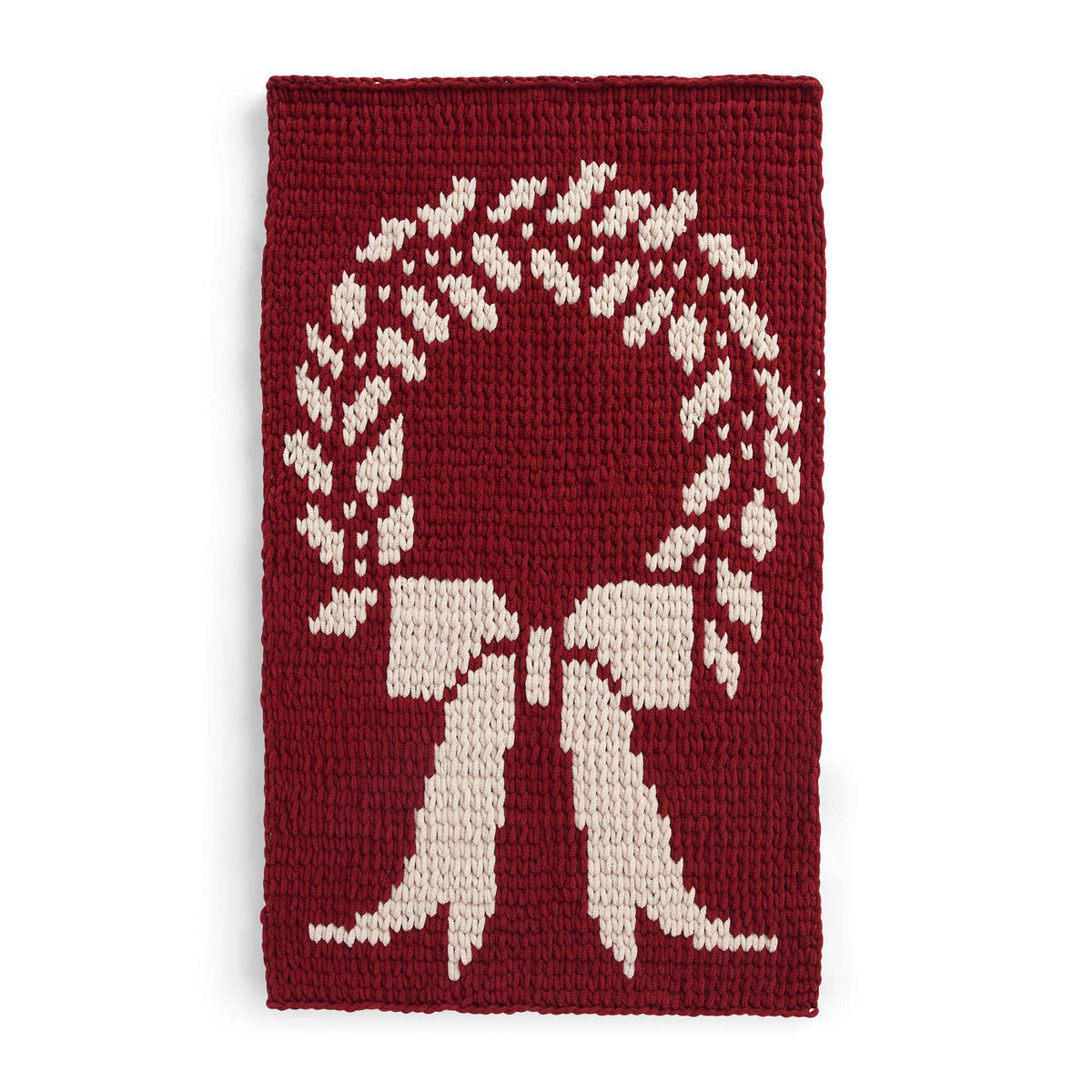 Craft Wall Hanging made in Bernat Alize Blanket EZ Graph It yarn