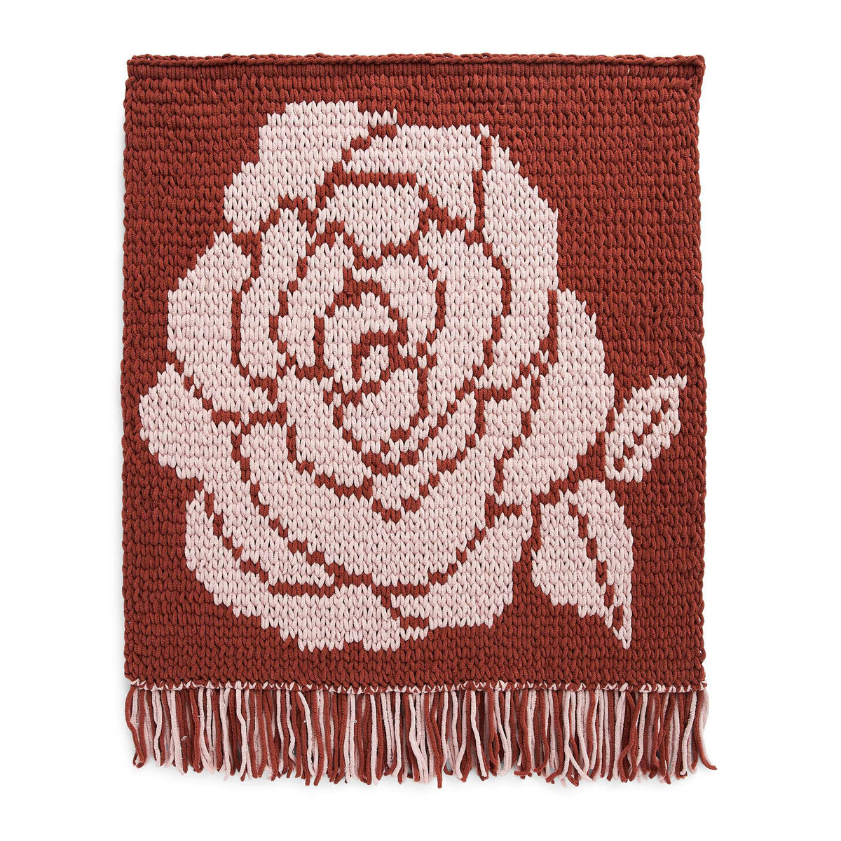 Craft Wall Hanging made in Bernat Alize Blanket EZ Graph-it yarn