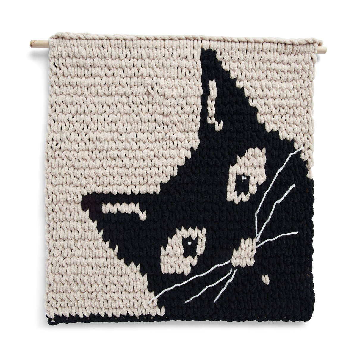 Craft Wall Hanging made in Bernat Alize Blanket EZ Graph-it yarn