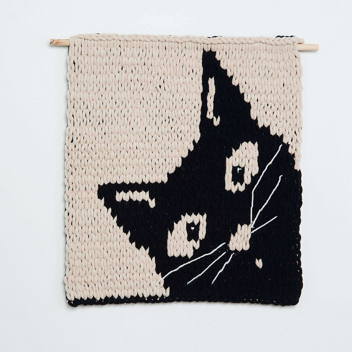 Craft Wall Hanging made in Bernat Alize Blanket EZ Graph-it yarn