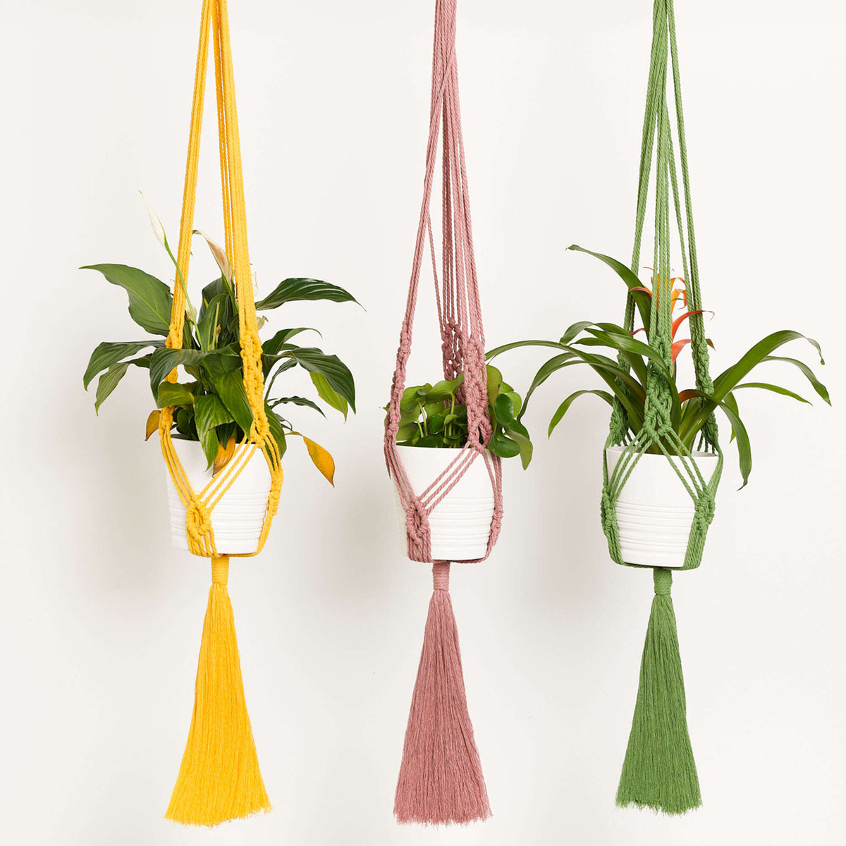 Craft Plant Hanger made in Bernat Macrame yarn
